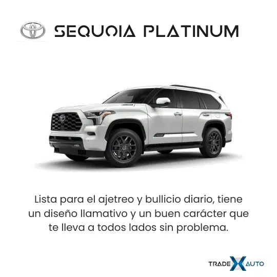 TradexAuto - 3 Toyota Sequoia Platinum