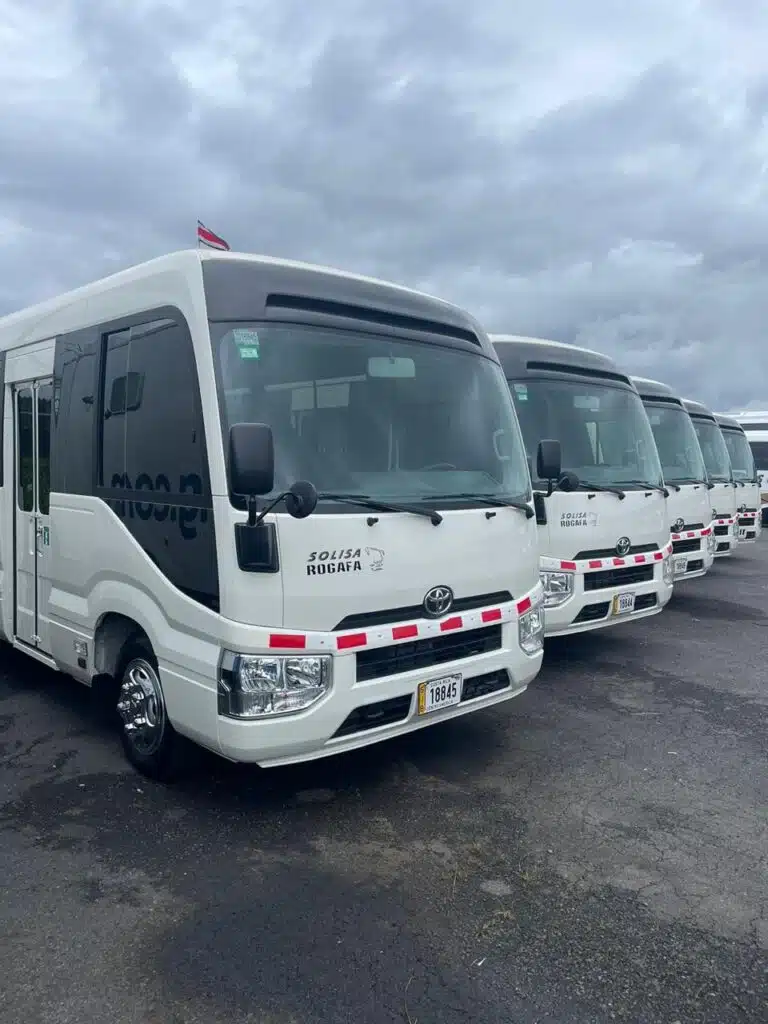 TradexAuto - Toyota Coaster 2